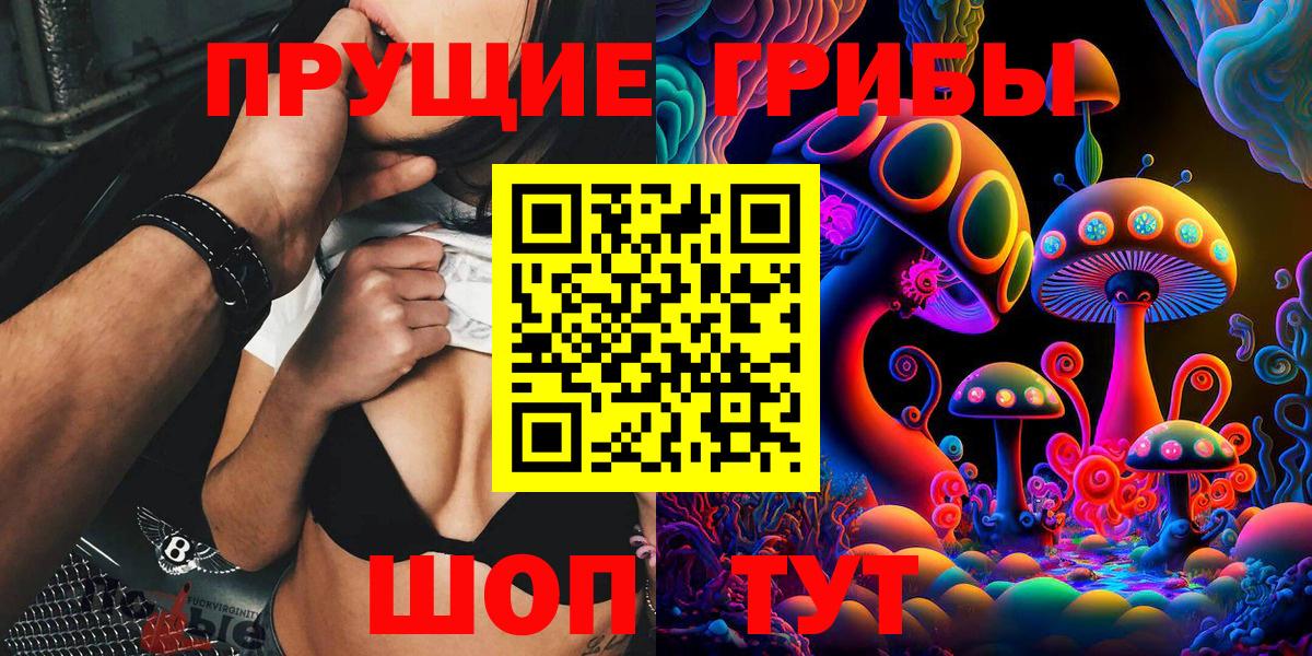 Коряжма  купить наркотик  Вход с VPN  Псилоцибиновые грибы MAGIC MUSHROOMS  Псилоцибиновые грибы ЛСД 