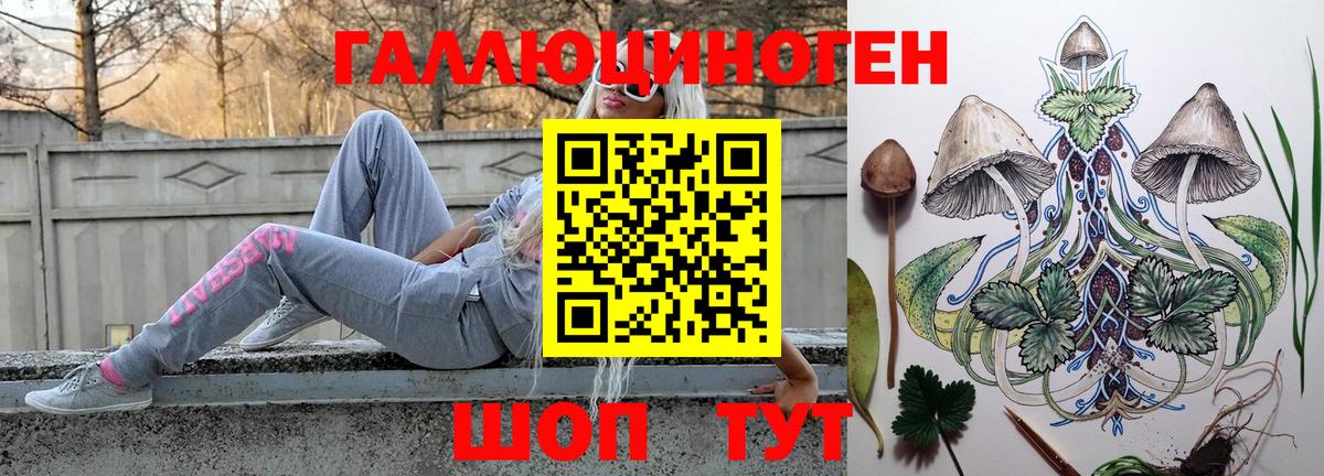 Псилоцибиновые грибы Psilocybe Коряжма
